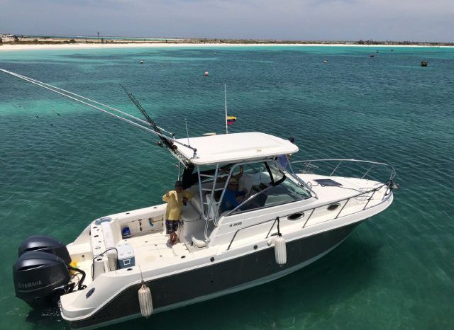 
								ROBALO R305 30 full									