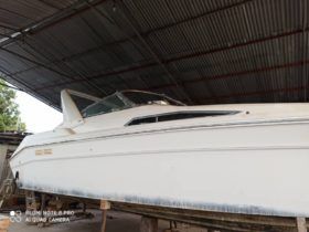 SEA RAY 33
