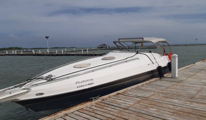 
								INTERMARINE AVANTI 35 full									