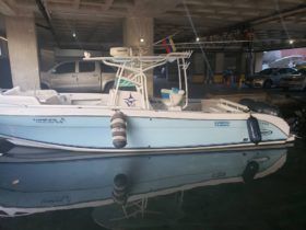 PROMARINE OPEN 33