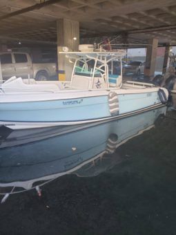 
										PROMARINE OPEN 33 full									