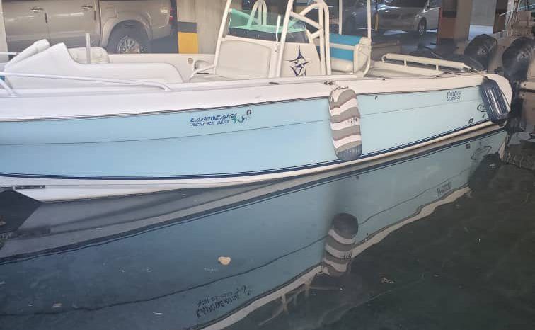 
								PROMARINE OPEN 33 full									