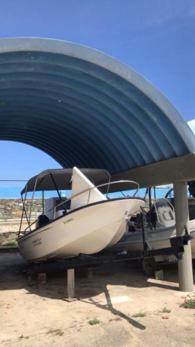 BOSTON WHALER 15