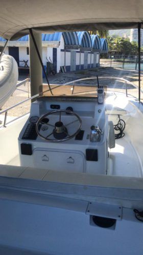 BOSTON WHALER 15
