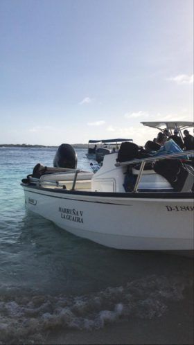 BOSTON WHALER 15