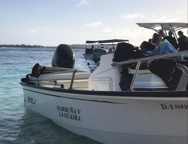 
								BOSTON WHALER 15 full									
