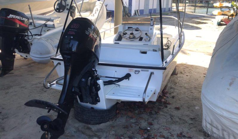 
								BOSTON WHALER 15 full									