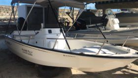 BOSTON WHALER 15