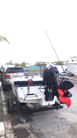 
										BOSTON WHALER 15 full									