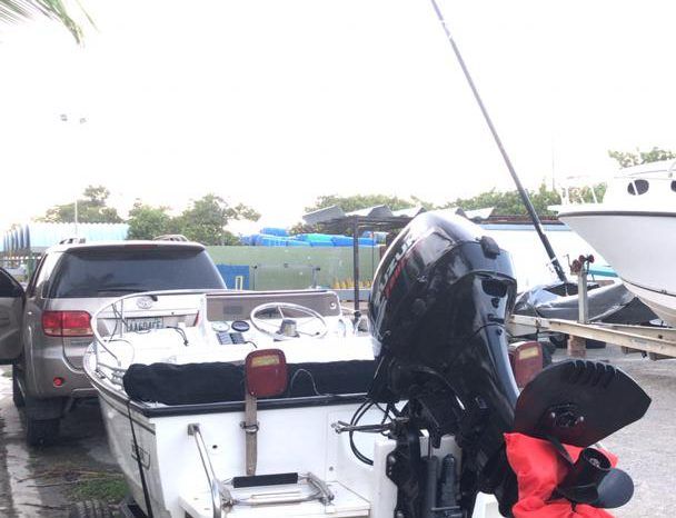
								BOSTON WHALER 15 full									
