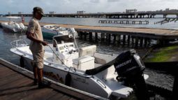 
										PROFINA OPEN 21 full									