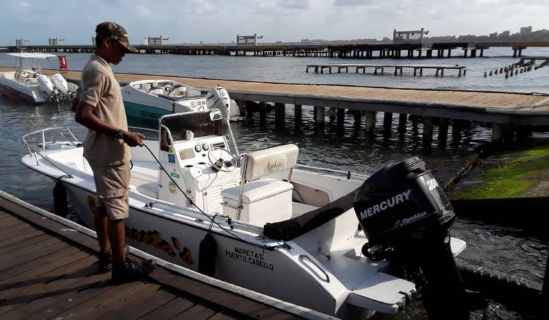 
								PROFINA OPEN 21 full									