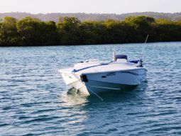 
										DA SILVA CHALLENGER 21 full									
