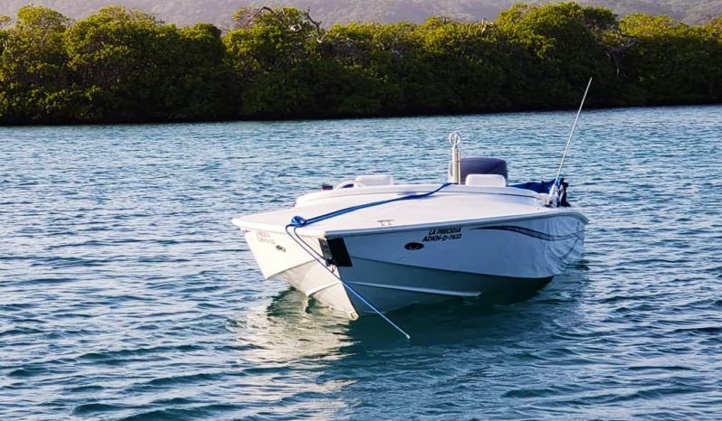 
								DA SILVA CHALLENGER 21 full									