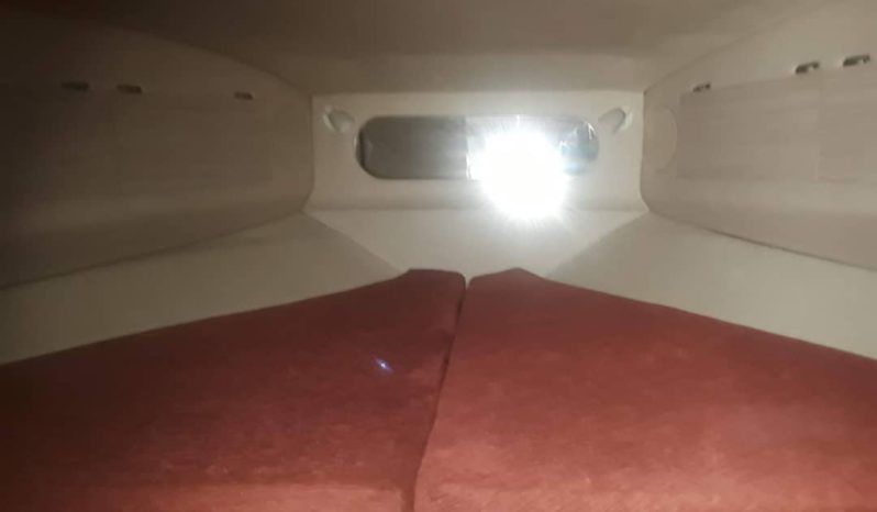 
								SEA RAY SUNDANCER 30 full									