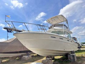 SEA RAY SPORT BRIDGE 30
