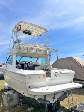 SEA RAY SPORT BRIDGE 30