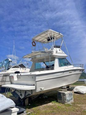 SEA RAY SPORT BRIDGE 30