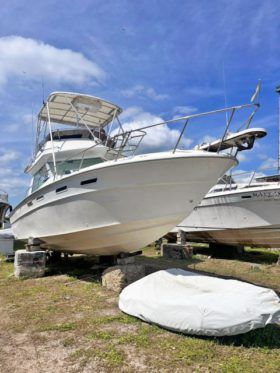SEA RAY SPORT BRIDGE 30