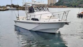 BOSTON WHALER 27