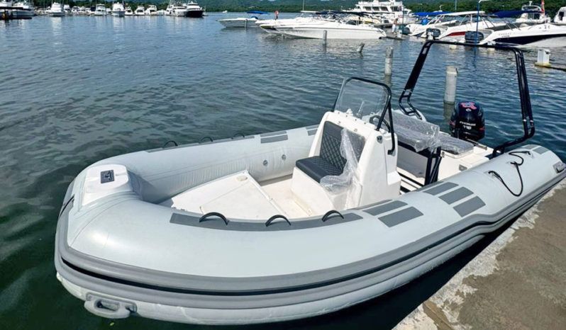 
								DINGHY AB 21 full									