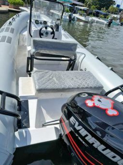 
										DINGHY AB 21 full									