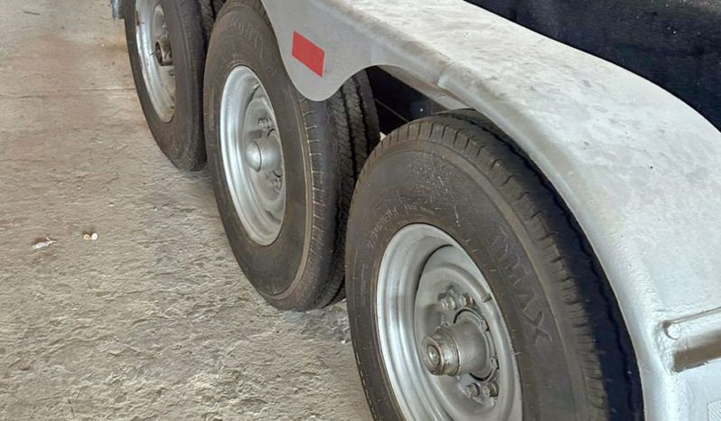 
								TRAILER GALVANIZADO 35 full									