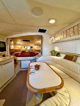 
										SEA RAY 34 full									