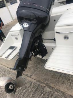 
										INTERMARINE LASER 22.5 full									