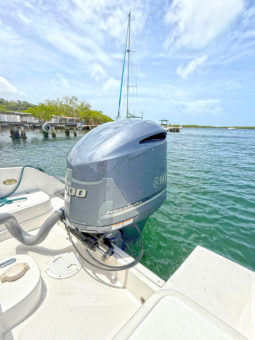 
										INTERMARINE BABY AVANTI 25.5 full									