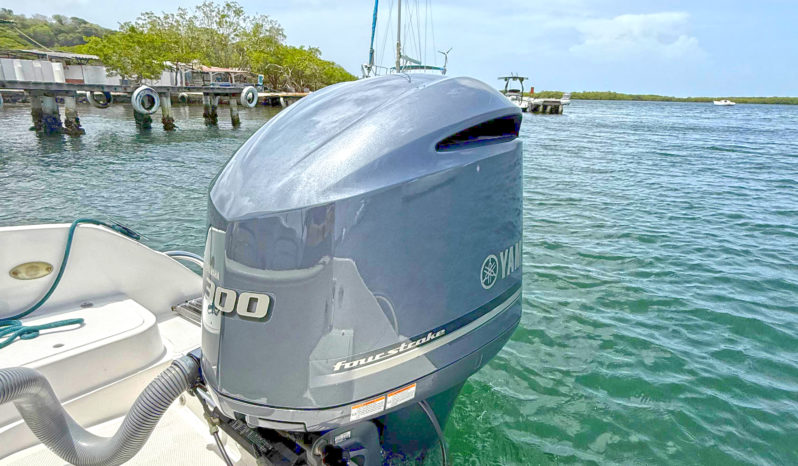 
								INTERMARINE BABY AVANTI 25.5 full									