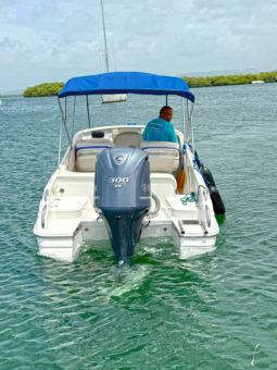 
										INTERMARINE BABY AVANTI 25.5 full									