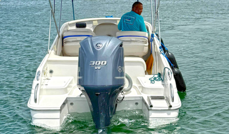 
								INTERMARINE BABY AVANTI 25.5 full									