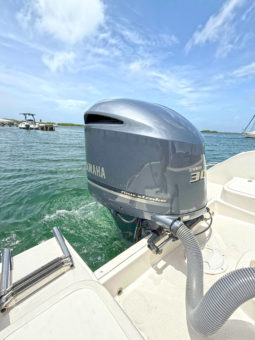 
										INTERMARINE BABY AVANTI 25.5 full									