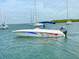 
										INTERMARINE BABY AVANTI 25.5 full									