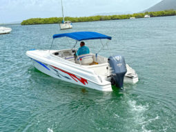 
										INTERMARINE BABY AVANTI 25.5 full									