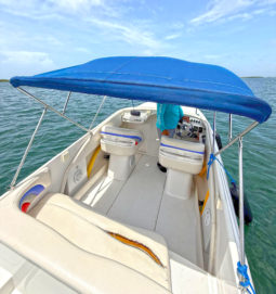 
										INTERMARINE BABY AVANTI 25.5 full									