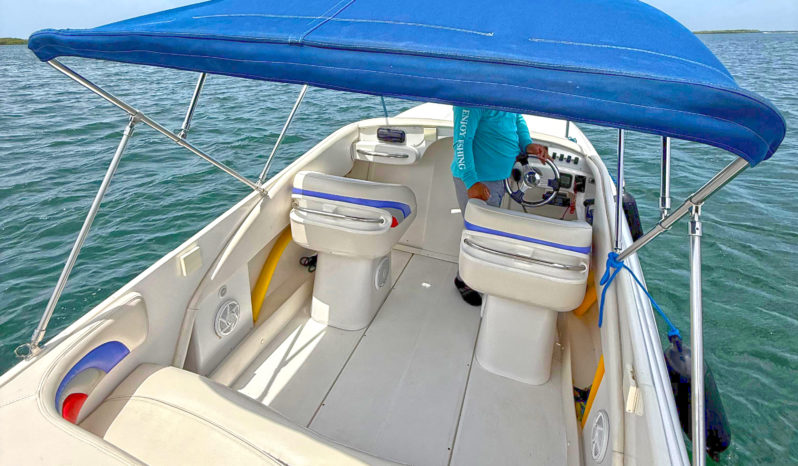 
								INTERMARINE BABY AVANTI 25.5 full									