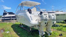 
										INTERMARINE SPORT 35 full									