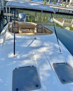 
										INTERMARINE TESTAROSSA 25 full									
