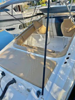 
										INTERMARINE TESTAROSSA 25 full									