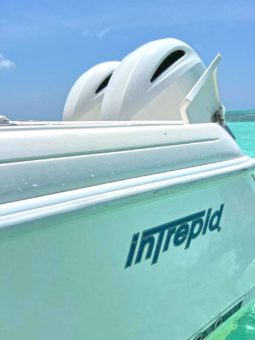 INTREPID 245 24