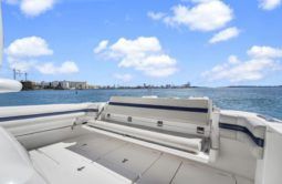 
										INTREPID CUDDY 407 40 full									