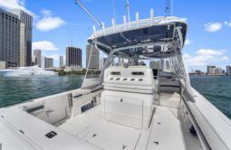 
										INTREPID CUDDY 407 40 full									
