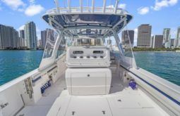 
										INTREPID CUDDY 407 40 full									