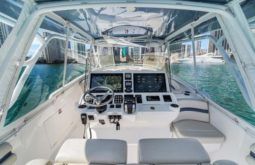
										INTREPID CUDDY 407 40 full									