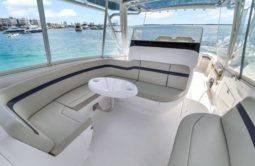 
										INTREPID CUDDY 407 40 full									