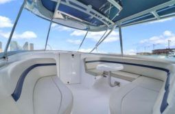 
										INTREPID CUDDY 407 40 full									