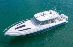
										INTREPID CUDDY 407 40 full									