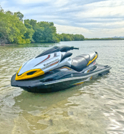 
										JET SKI KAWASAKI SUPERCHARGED full									